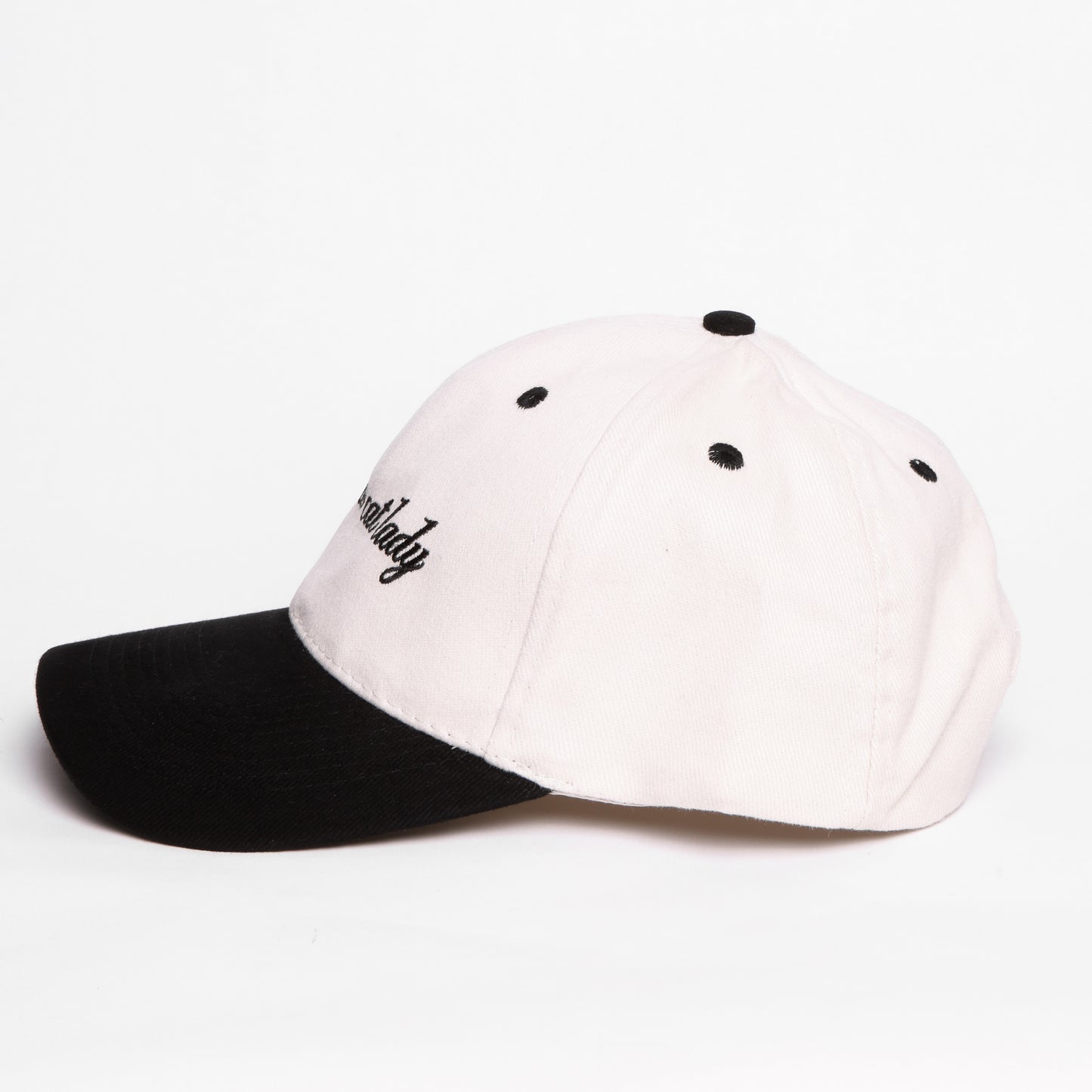 Childless Cat Lady 6-Panel Hat - Stone / Black